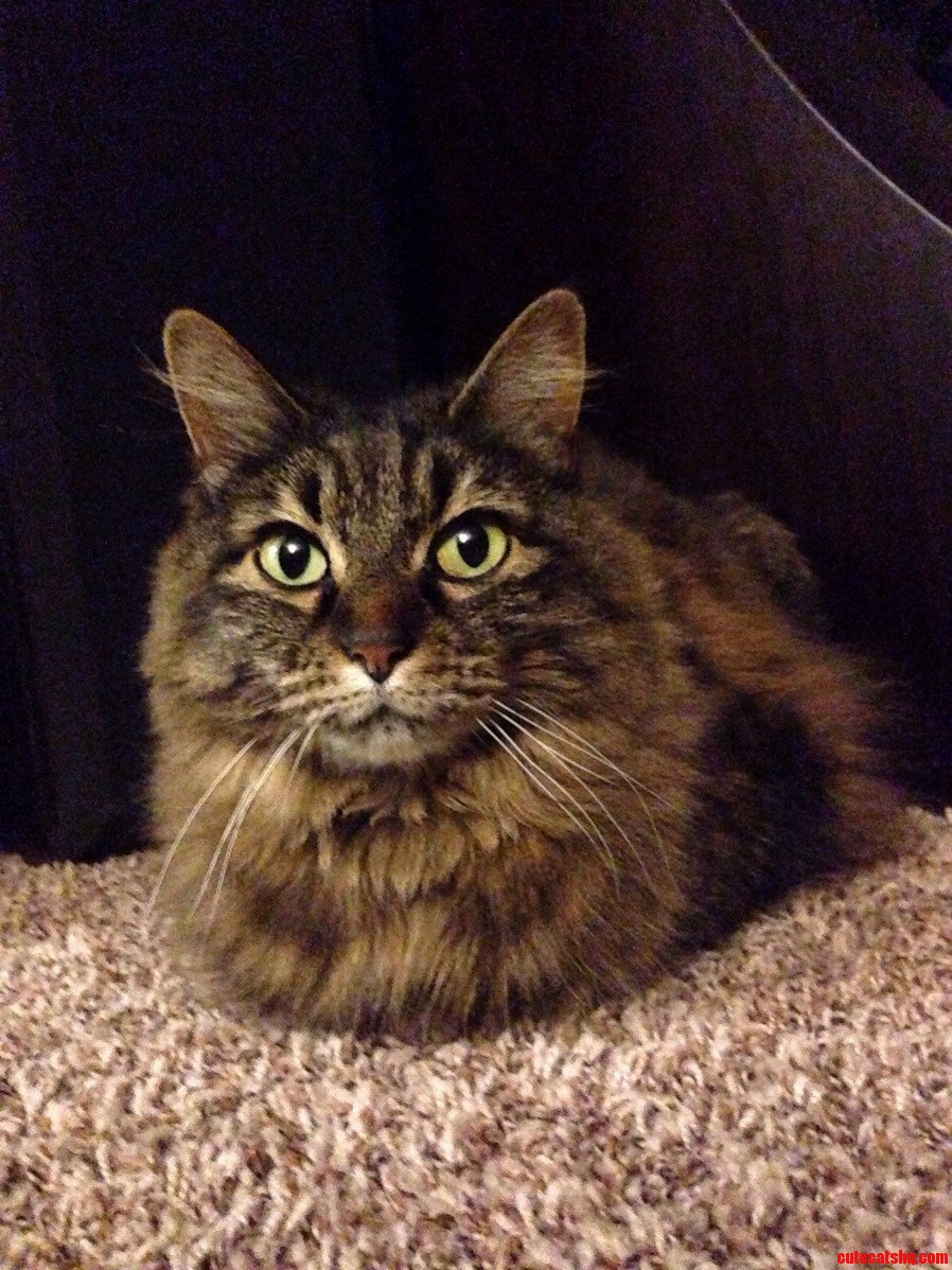 I Assure You Izzy Does Have Legs.