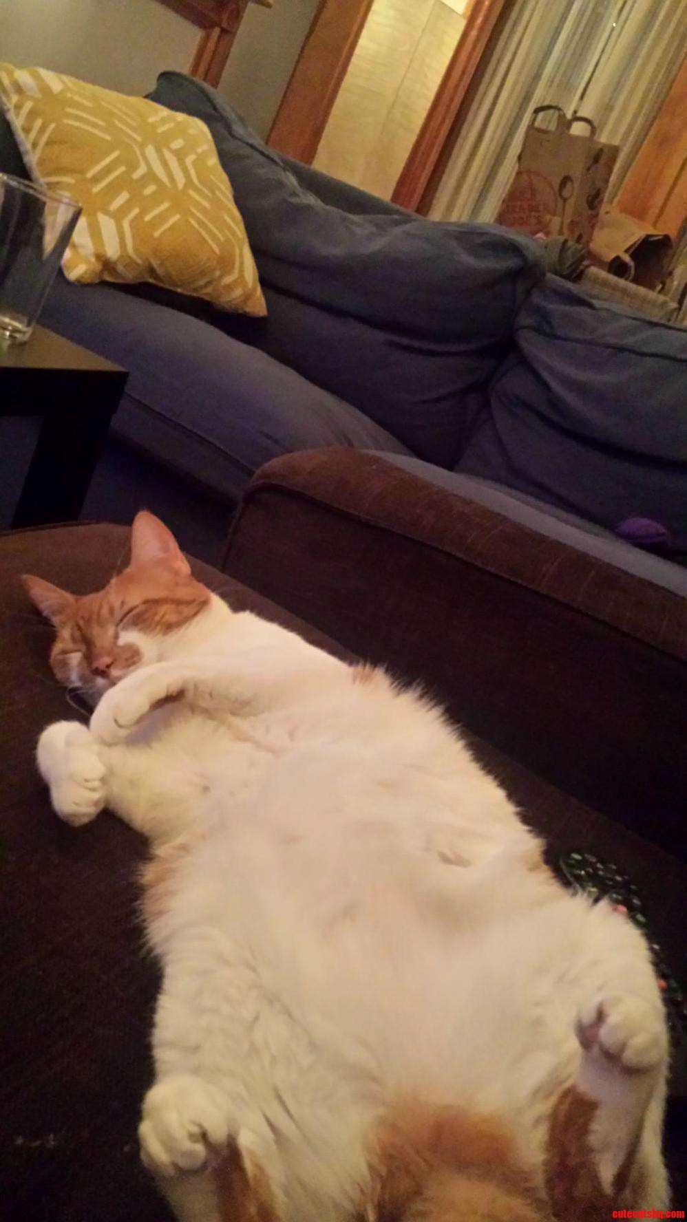 I Call It the Fluffy Belly Trap.
