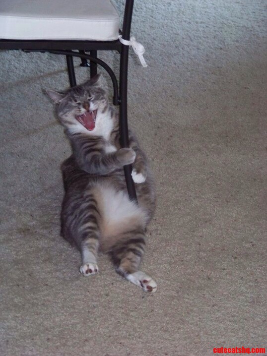 I Caught Her Mid Yawn.