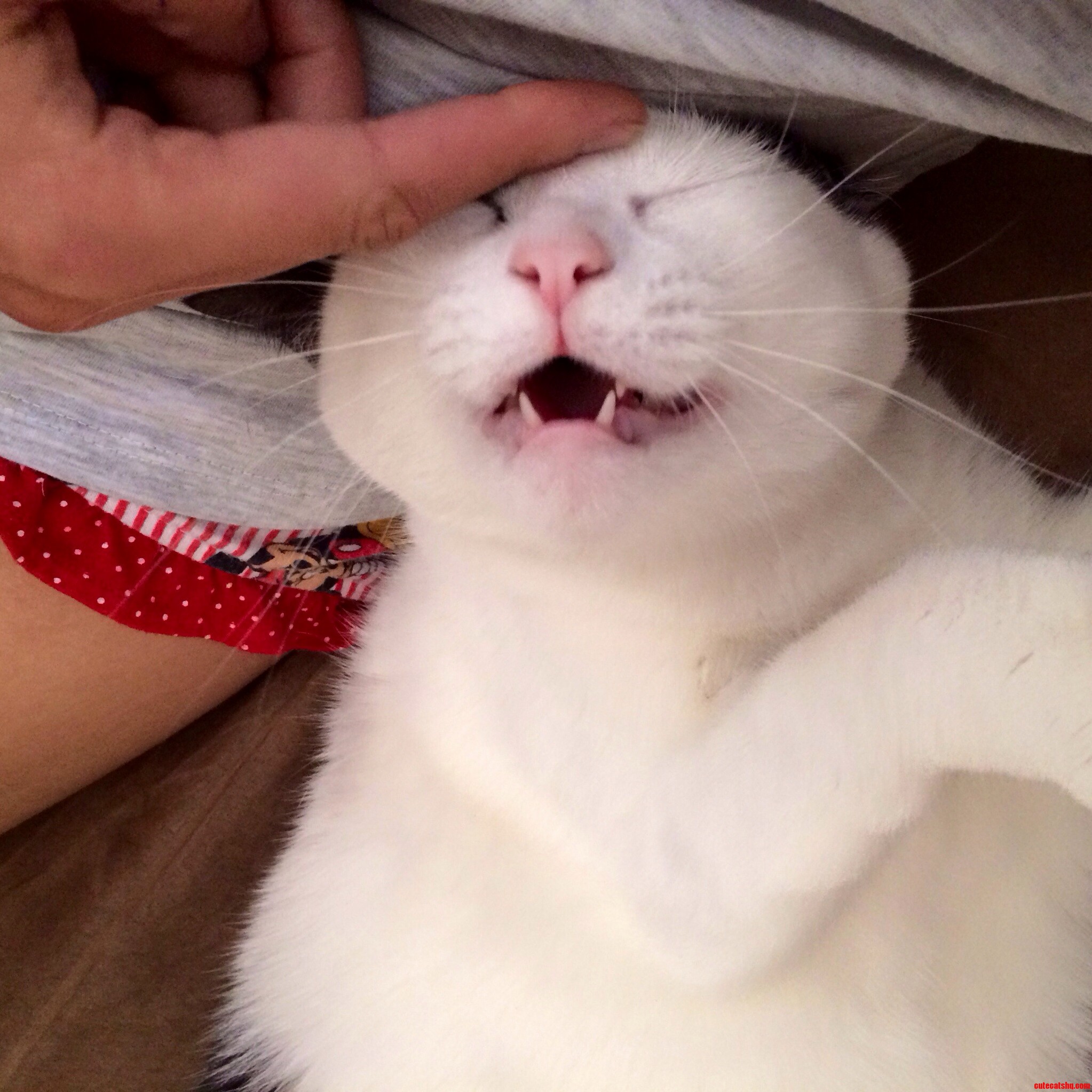 I Dont Even Know What This Face Is.