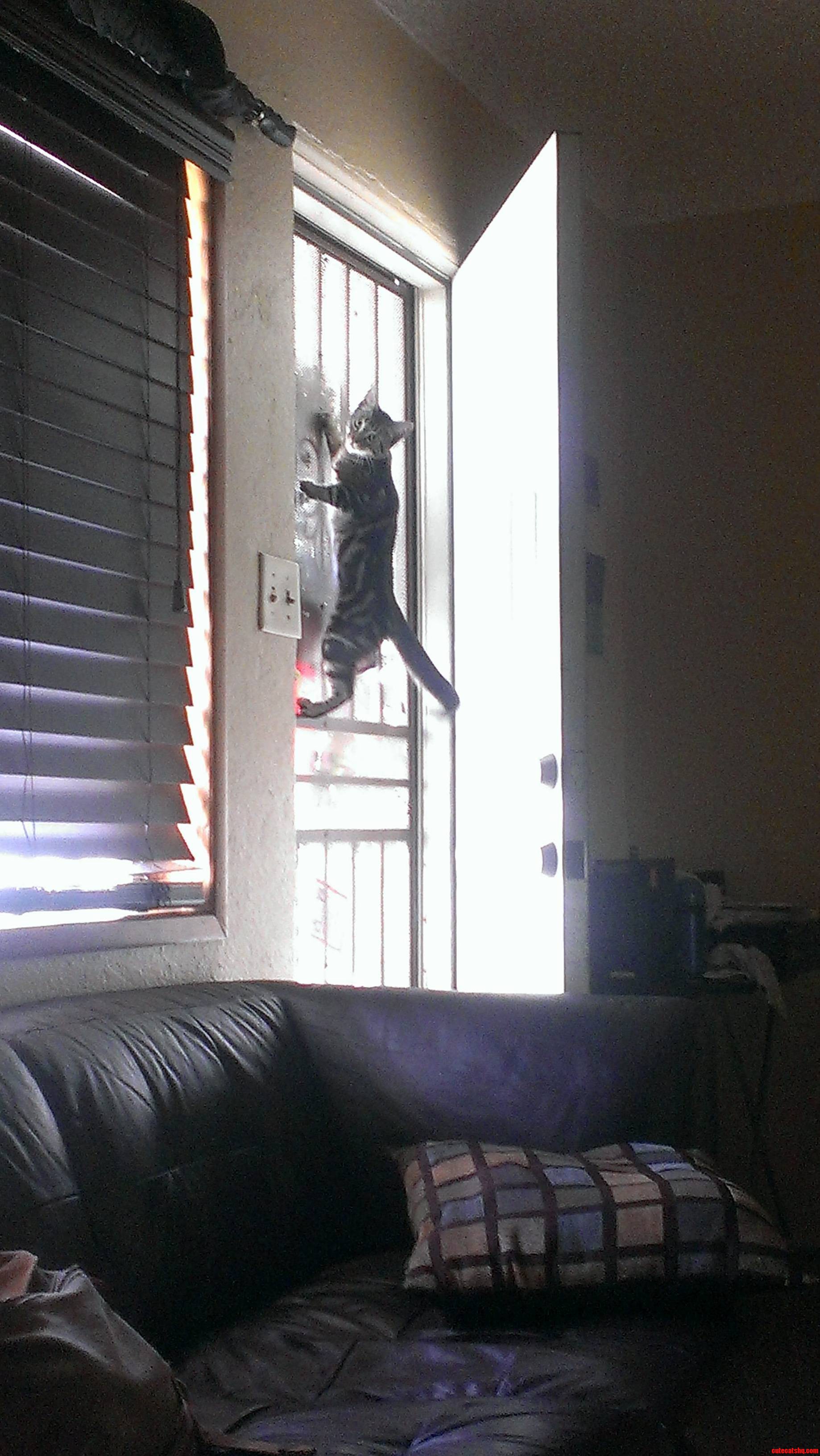 I Dont Get Why He Does This...
