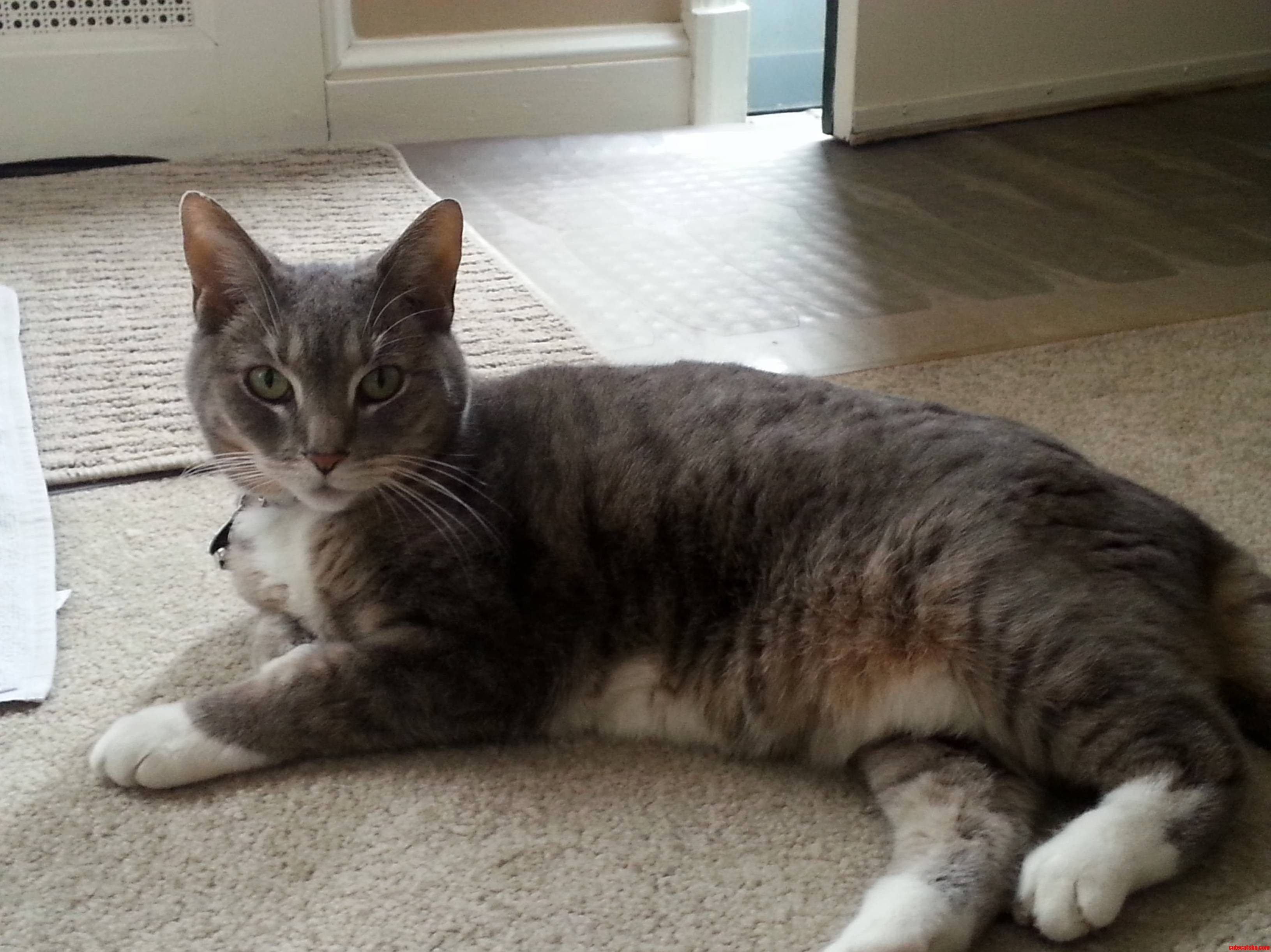 I Dont Think That She Has Been This Photogenic Before