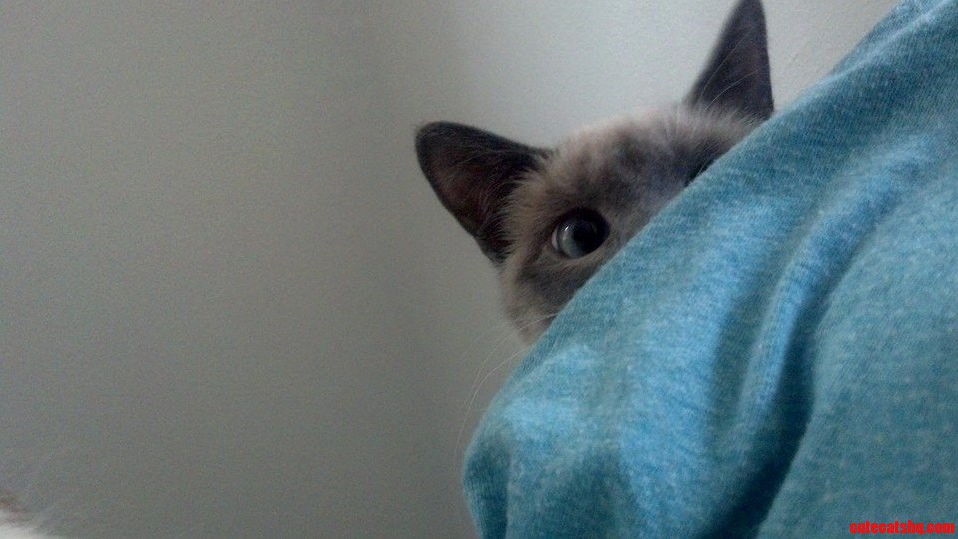 I Dont Want to Know How Long She Watched Me Like This Before I Woke Up.