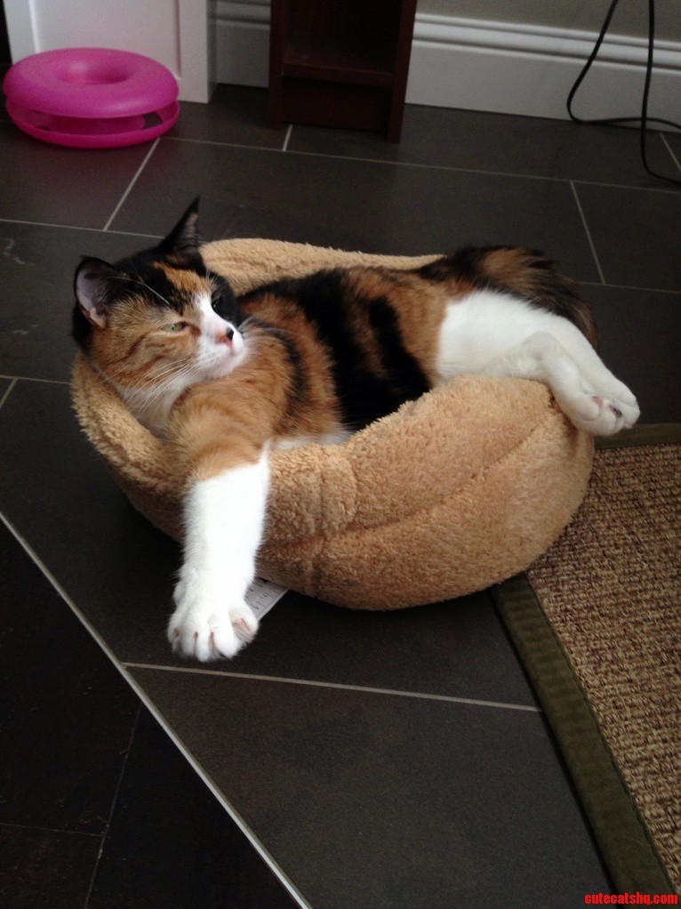 I Fits.