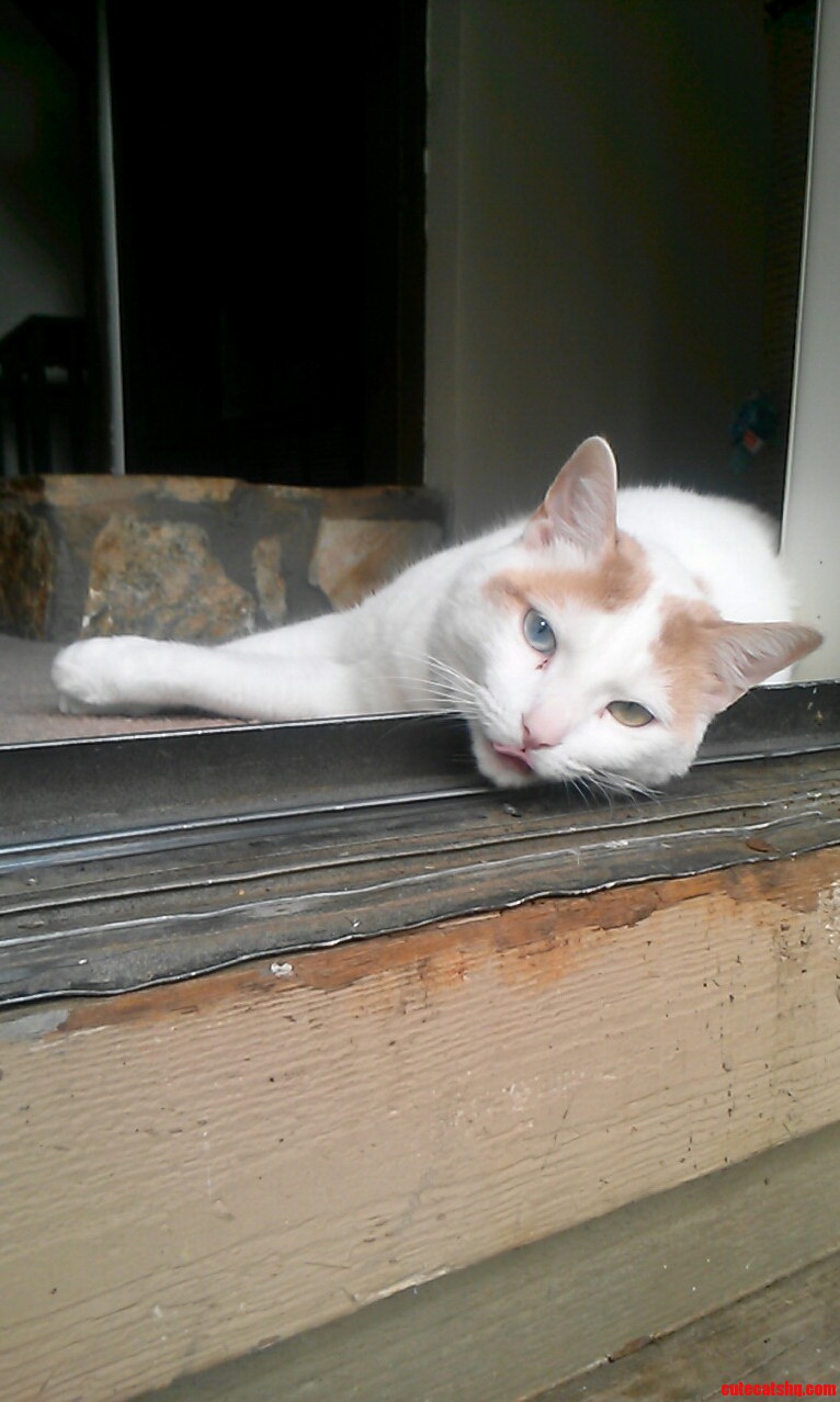 I Guess Shes Trying to Be Seductive