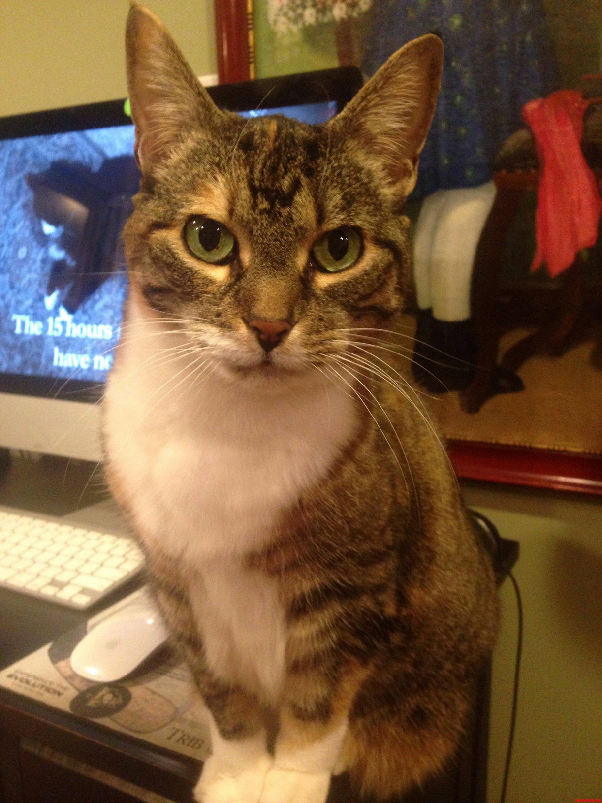 I Had a Visitor Tonight.