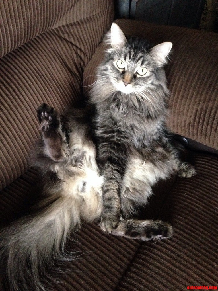 I Interrupted Something