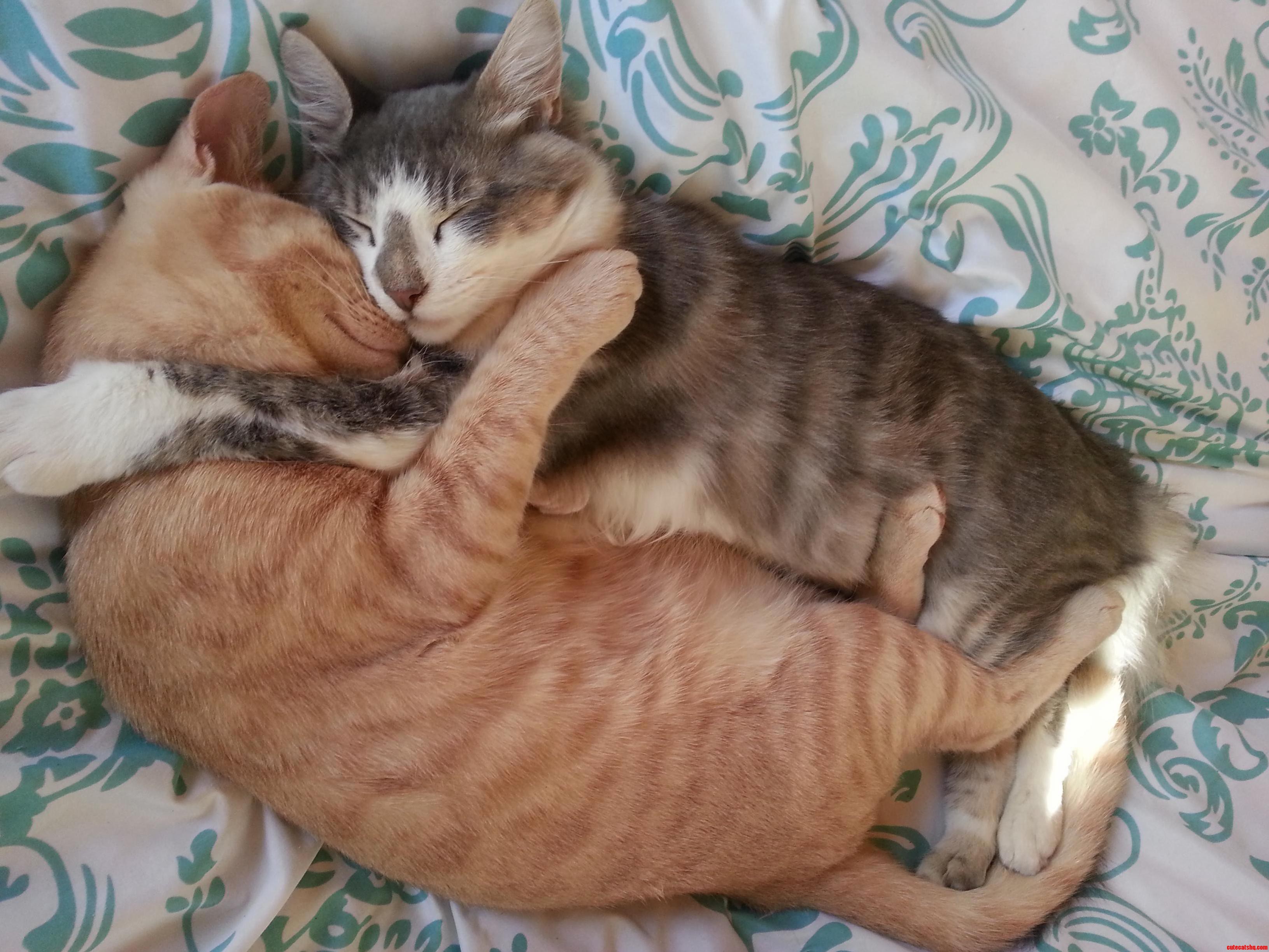 I Just Cant with These Two.