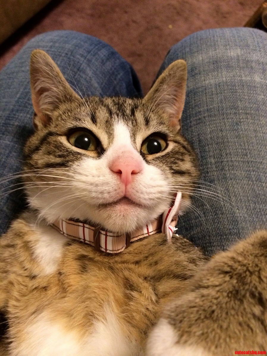 I Just Realized That I Ll Be Posting on This Sub for Many Many Years to Come