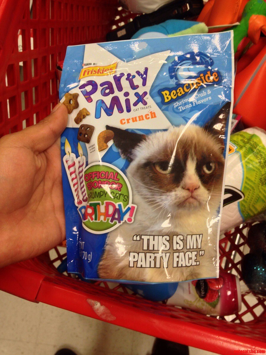 I Just Realized This Cat Makes More Money Than Me