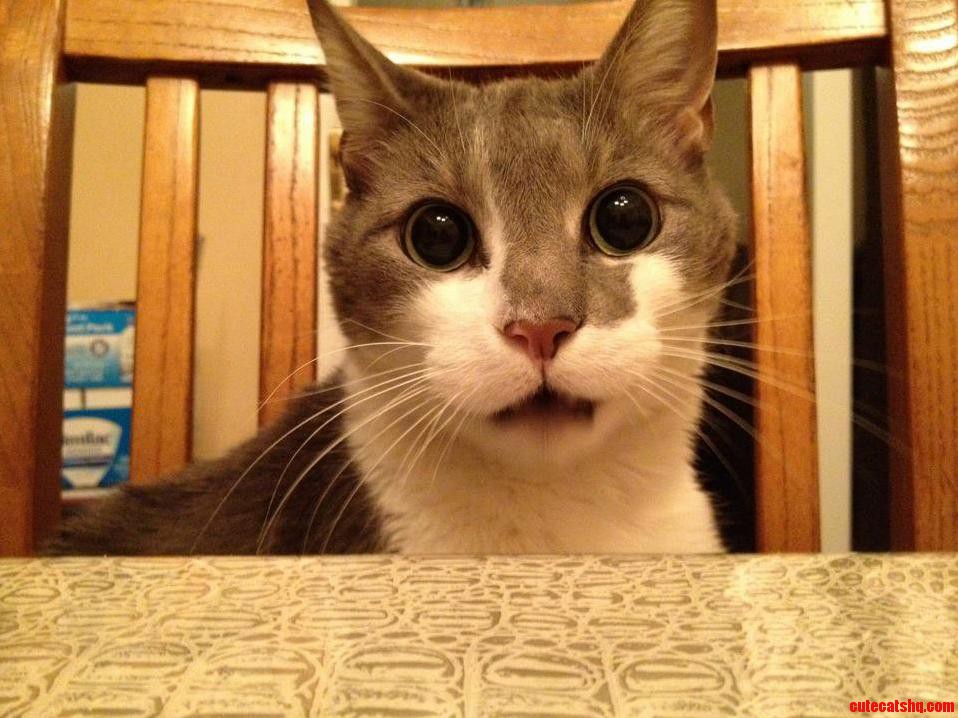 I Miss Frank He Had Crazy People-eyes...