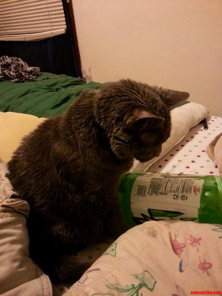 I Need Thumbs... and to Learn to Read...