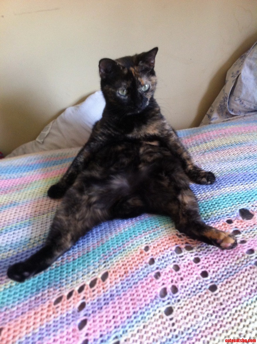 I Never Said She Was Modest...