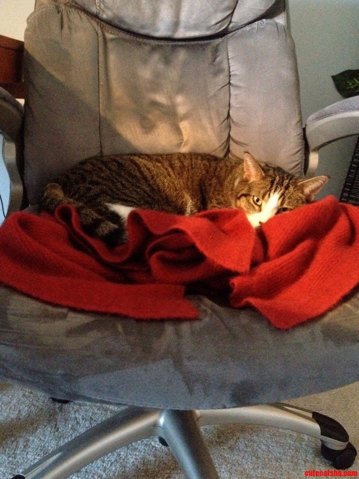I Only Got Up to Go to the Bathroom for a Minute...