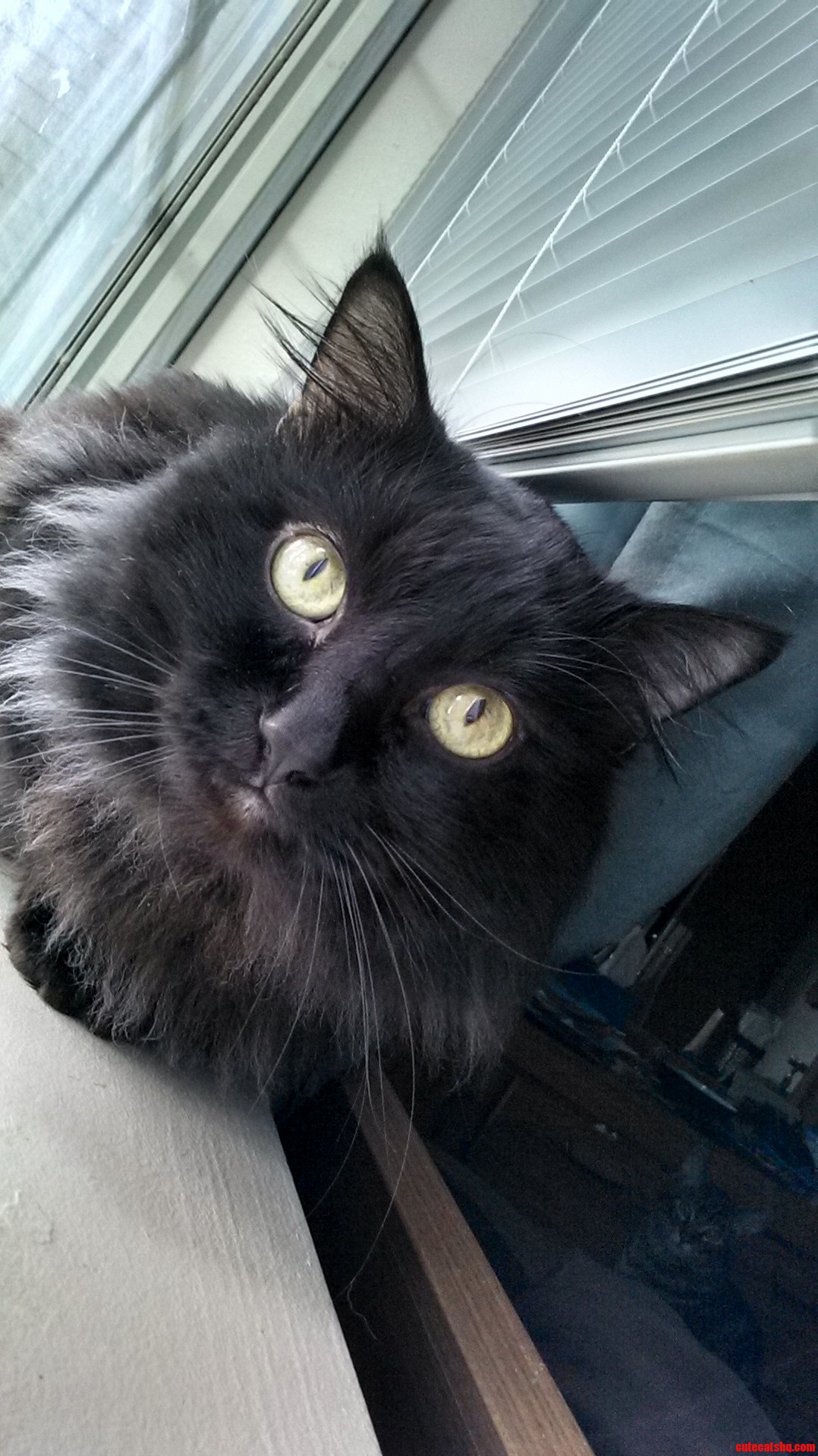 I Present Gabriel