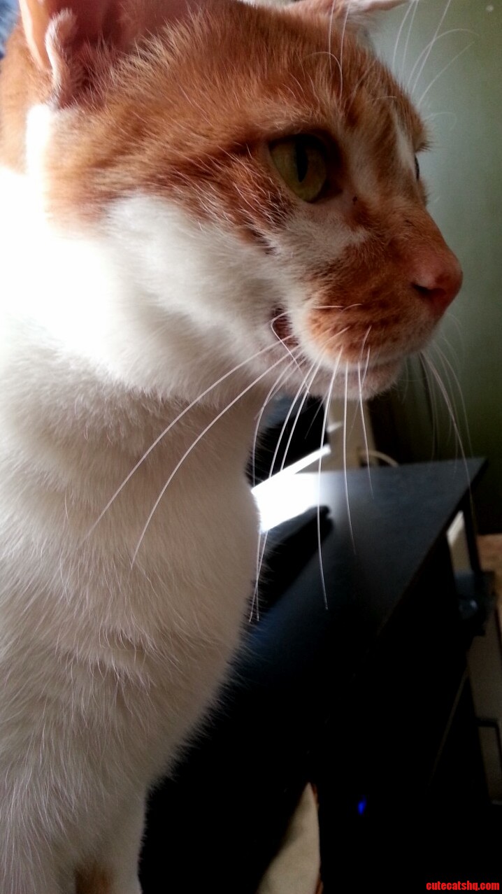 I Think His Battle Scar Makes Him Look Like the Joker