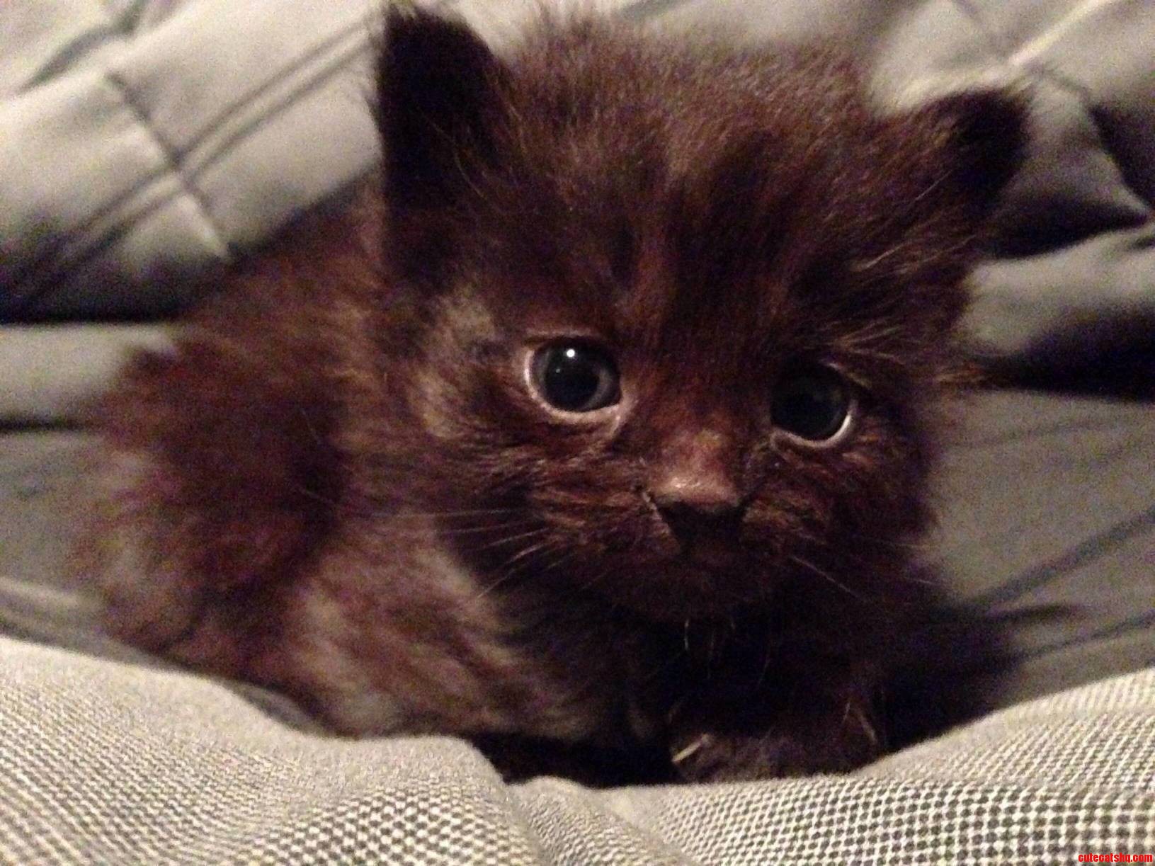 I Think Its Time I Introduced You Guys to This Little Bundle of Joy.