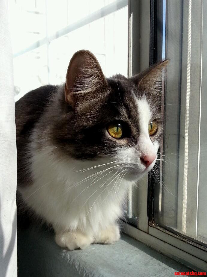 I Think She Misses Being Outside