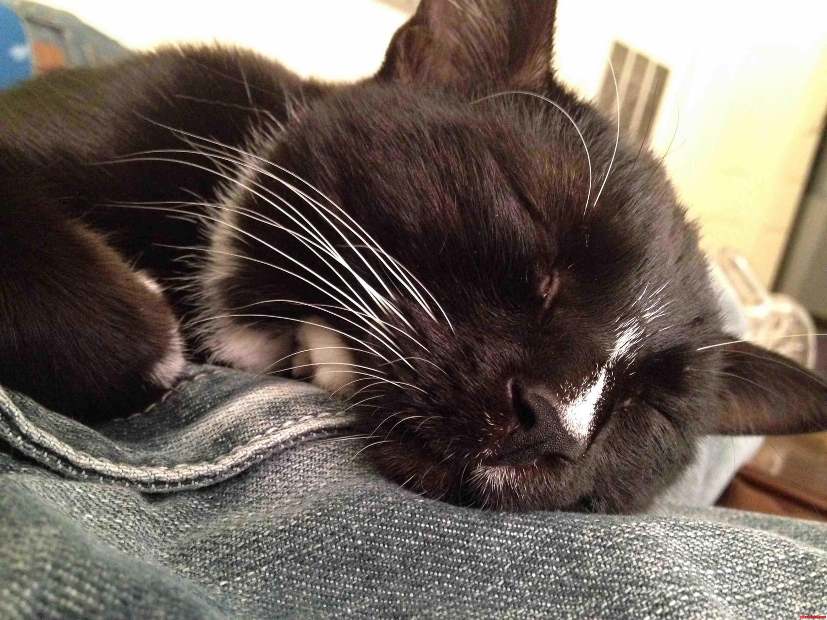 I Ve Had Those Days When I Just Fall Asleep Like This.