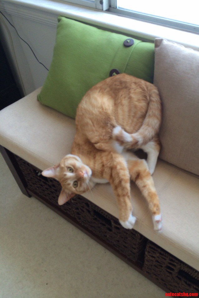 I Walked Into the Kitchen and Found Her Like This.