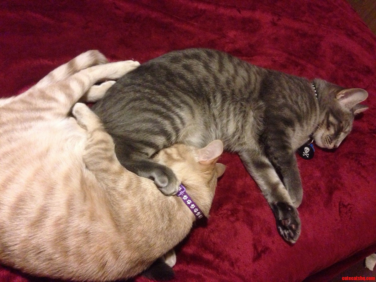 I Worry About These Two Sometimes...