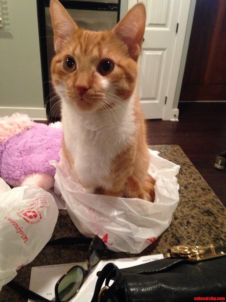 If I Fits I Sits.