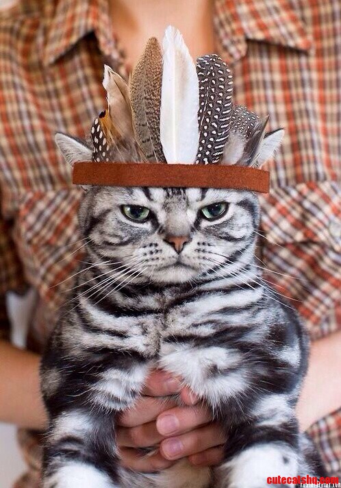 Im a Indian