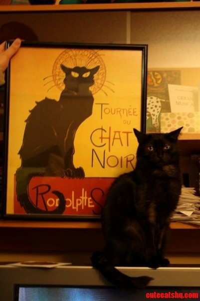 Im Going with Imaginary Black Cat Friday the Beautiful Late Mishka Everyone