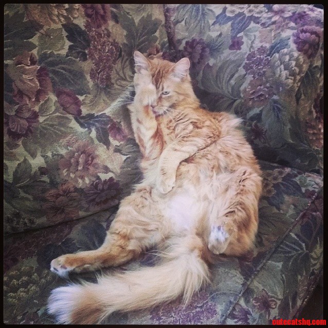 Im Too Sexy for This Photo