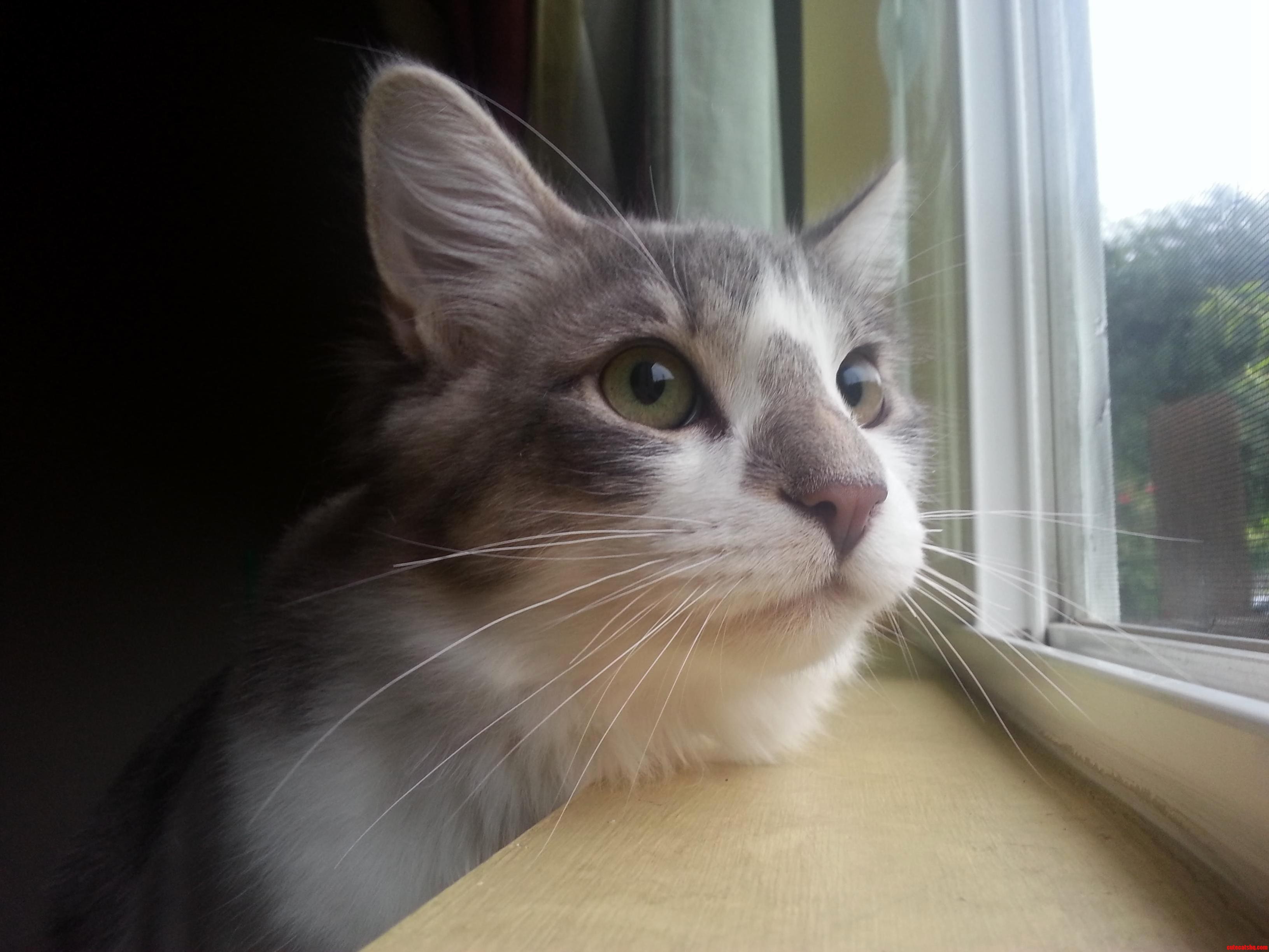 Intense Bird Watching.