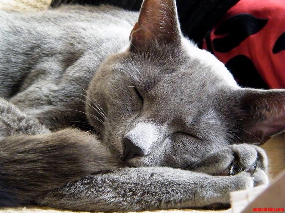 It Was a Lazy Sunday Afternoon.