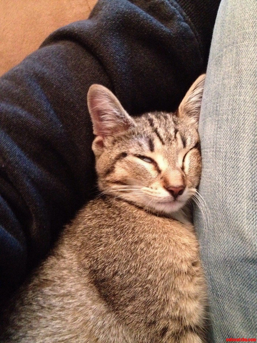 It Was a Wild Night...