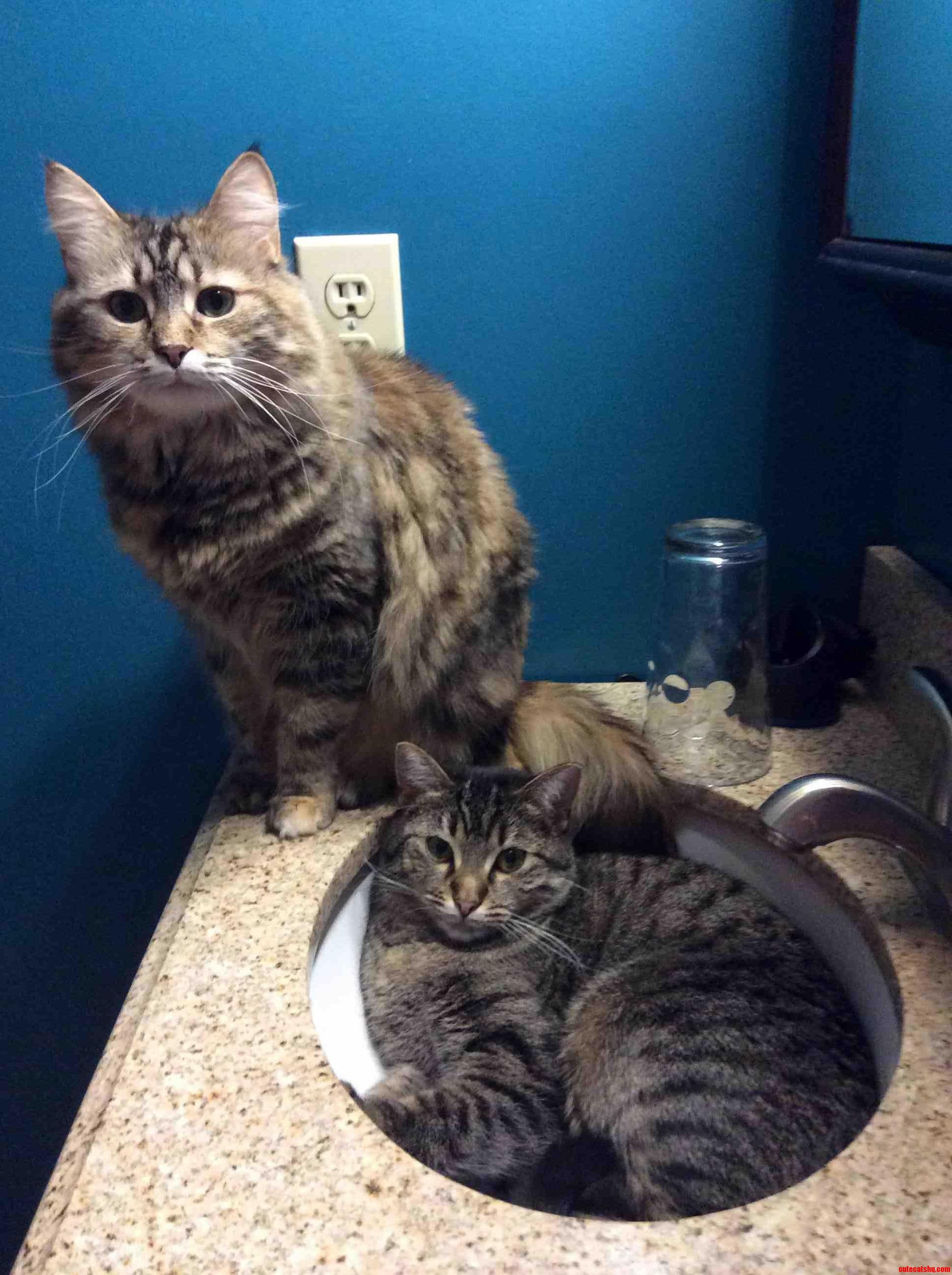 Its Hard to Brush My Teeth in the Morning with These Two