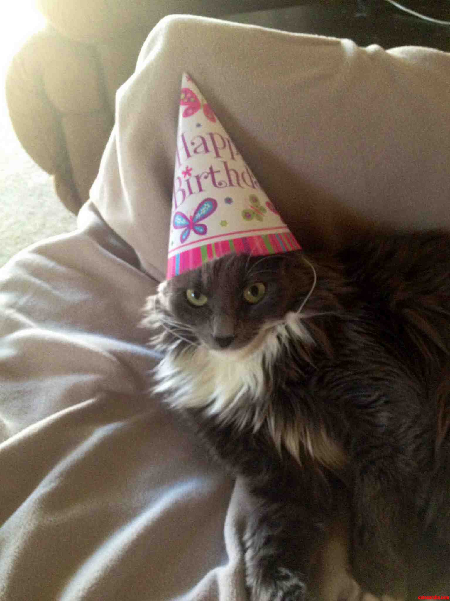 Its Her Very First Birthday Today