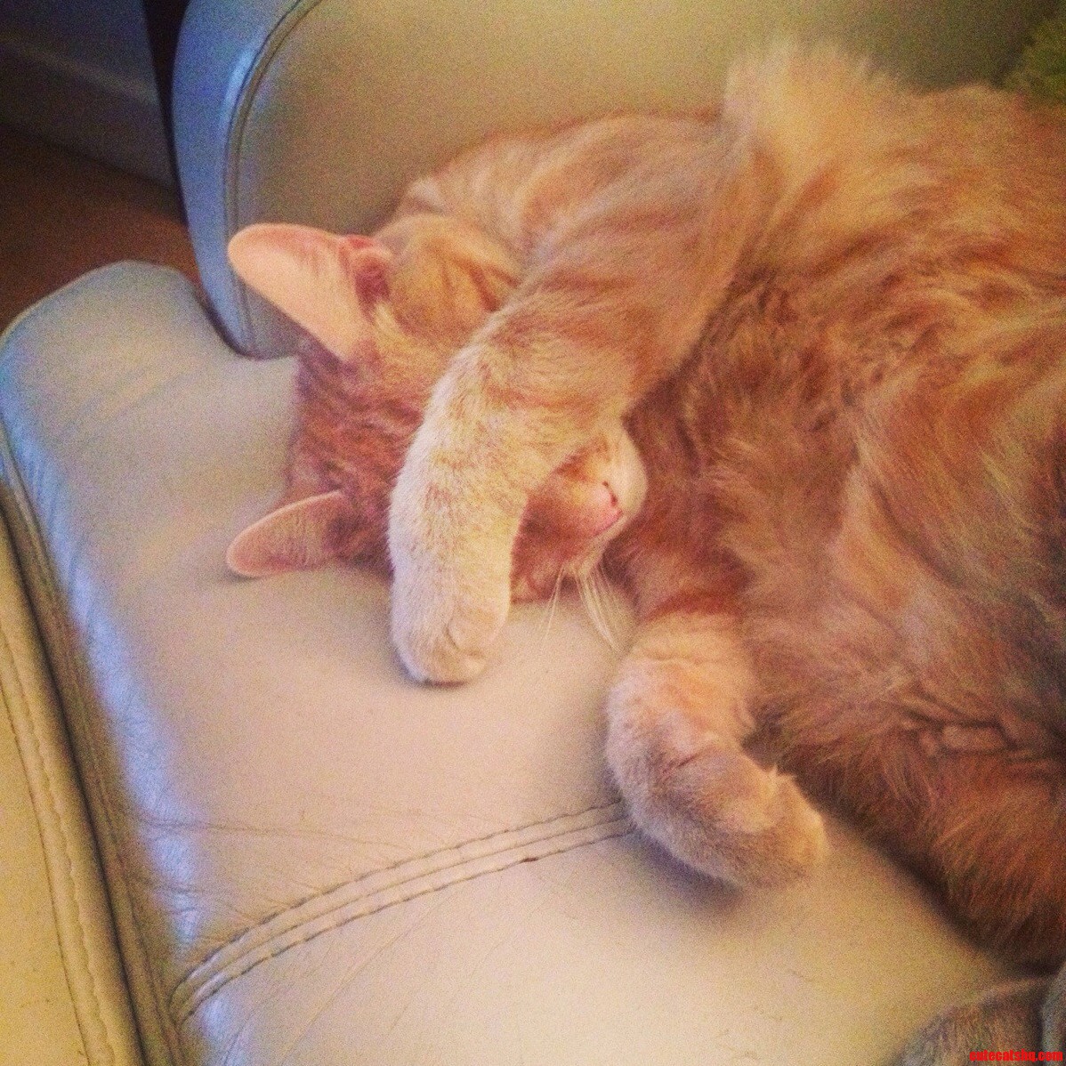 Its Too Bright in Here Someone Turn That Light Off.