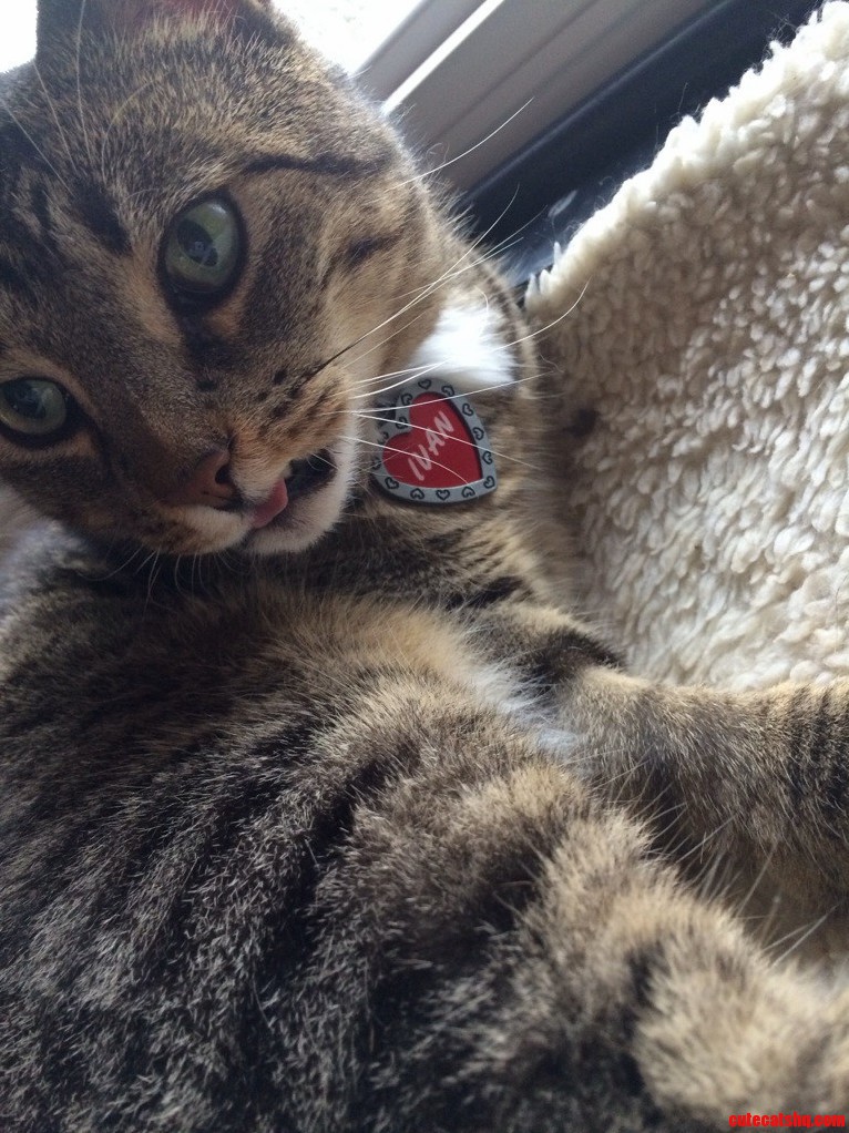 Ivan Is Not a Morning Person.
