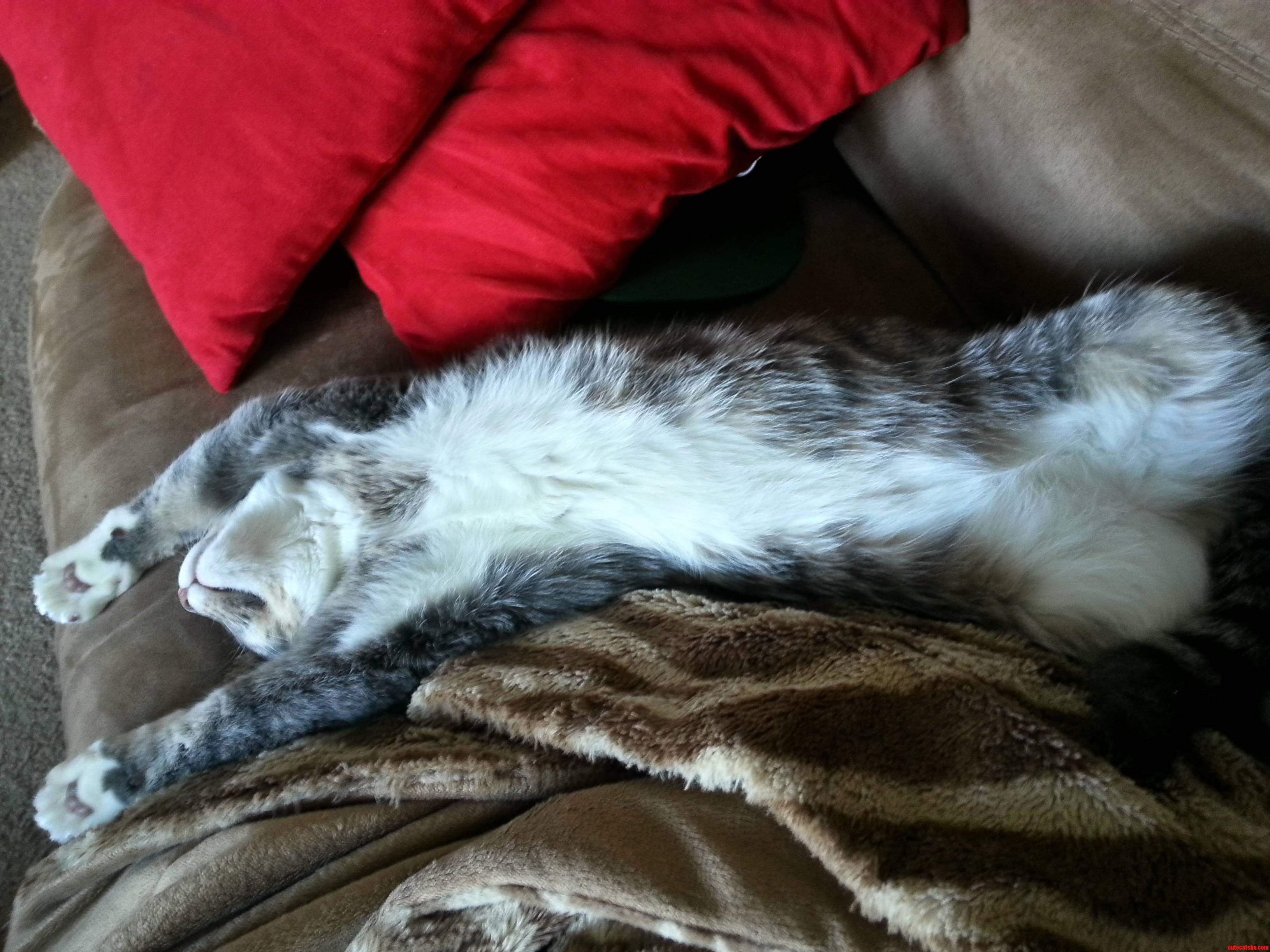 Iz So Tiiiiiiwerd