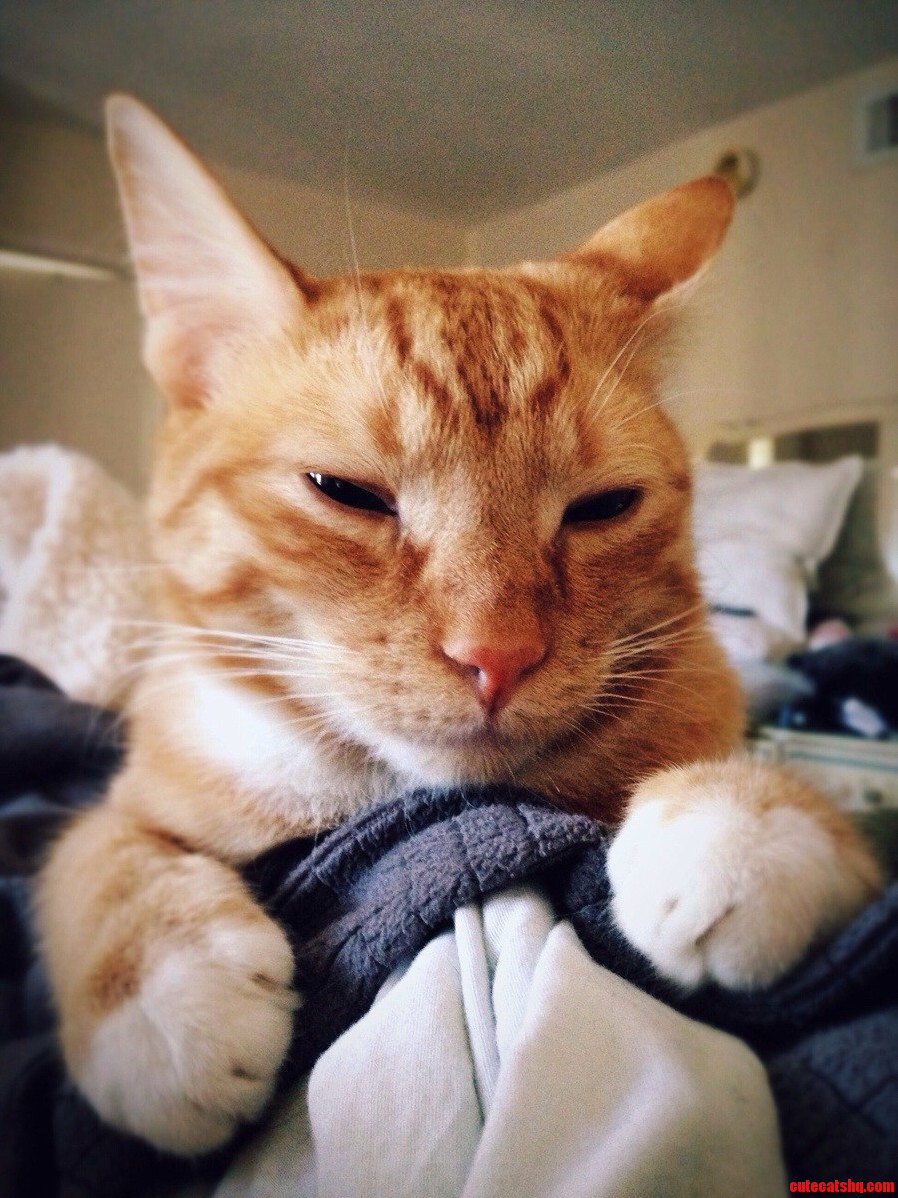 Just 5 More Minutes.