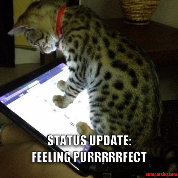 Just Checking Facebook