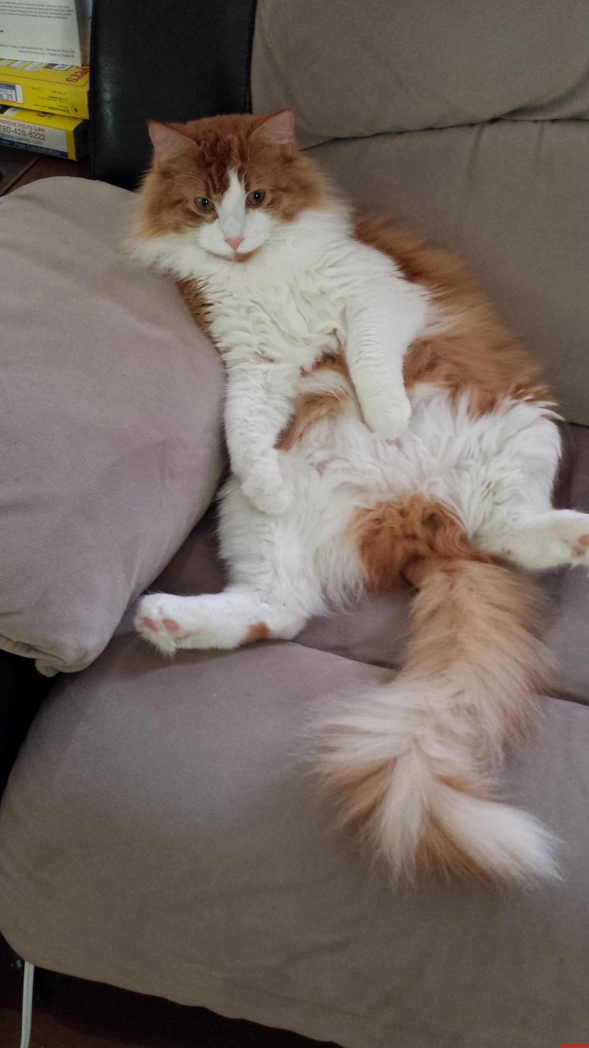 Just Chillen