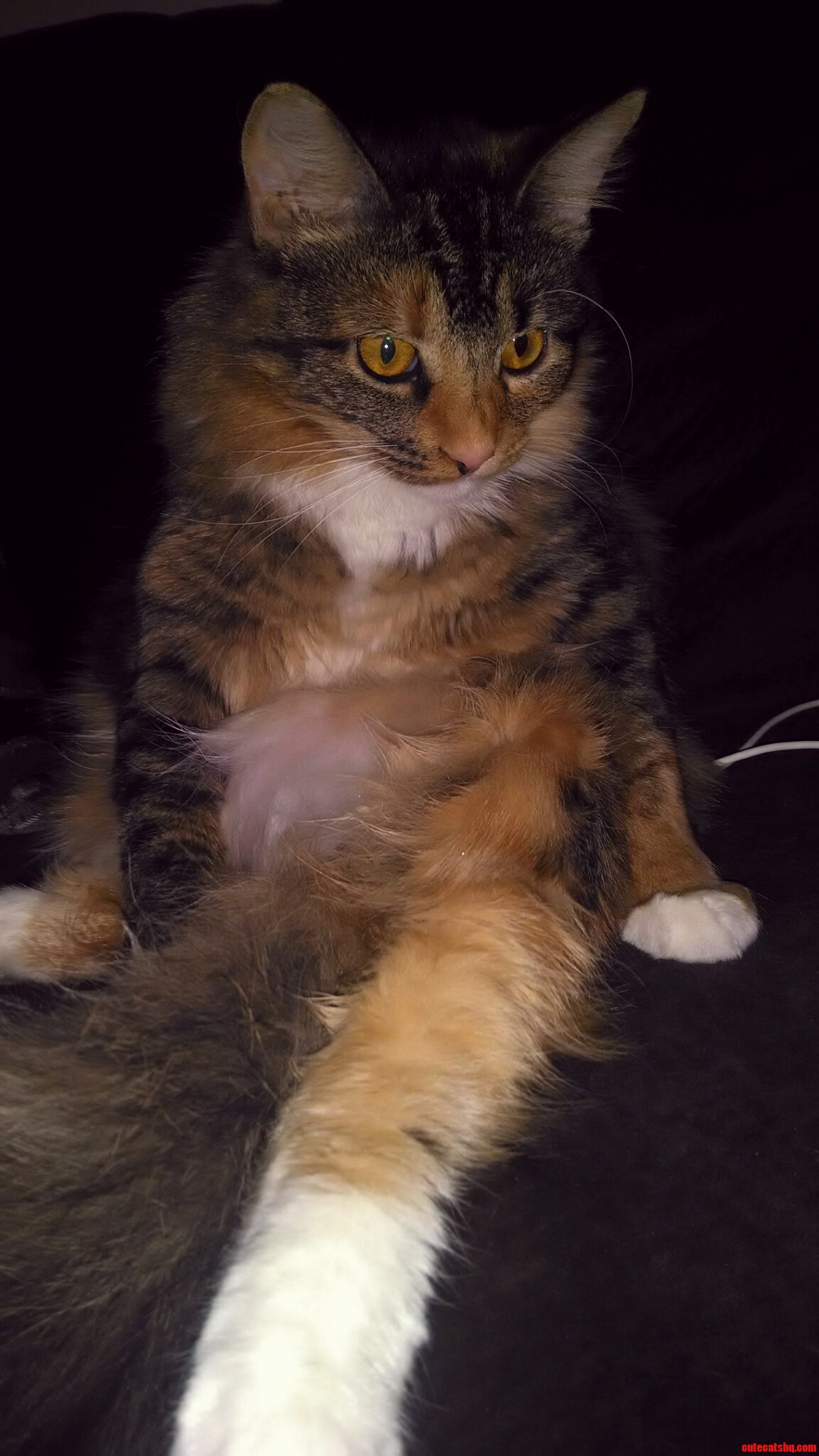 Just Chillin