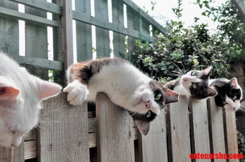 Just Hangin