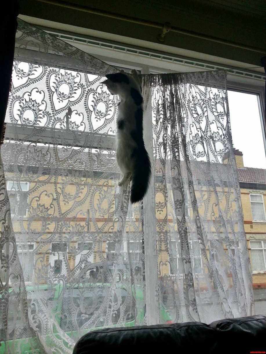 Just Hanging