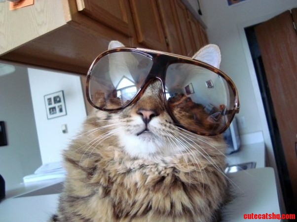 Just Memphis Wearing Spectacles to Protect His Eyes from Harmful Uv Rays