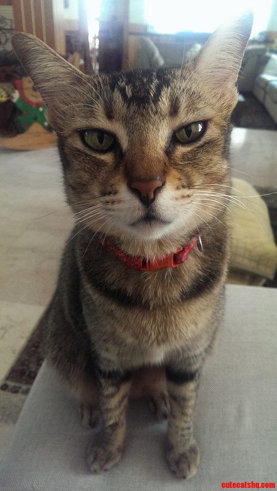Kaera Is Not Amused