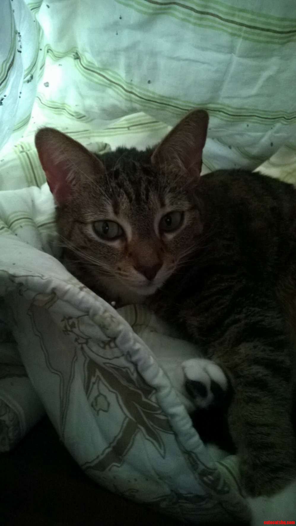 Kendra Loves to Sleep Under the Blankets with Me