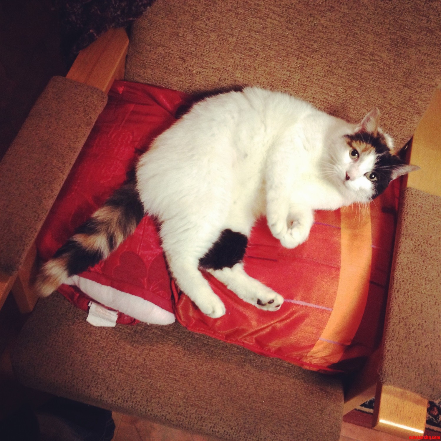 Killer Is Nine Years Old This Week