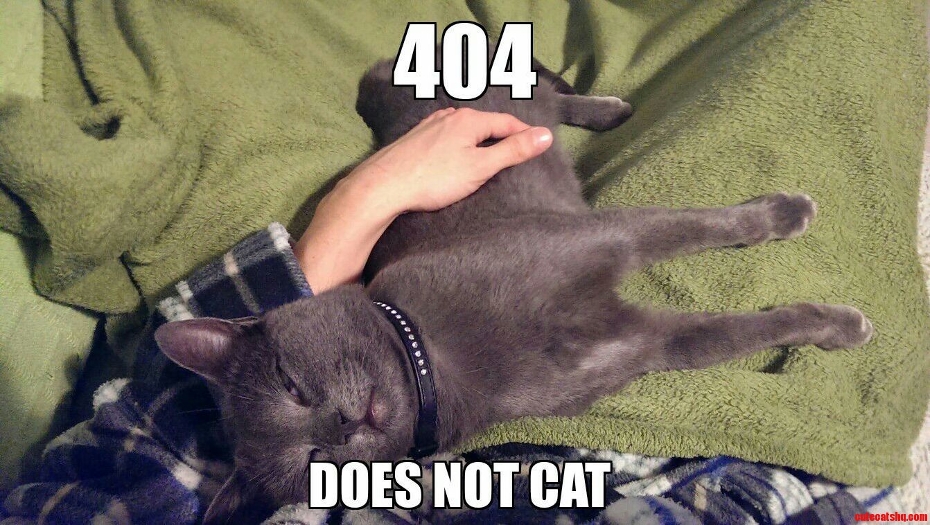 Kitty Is Out of It