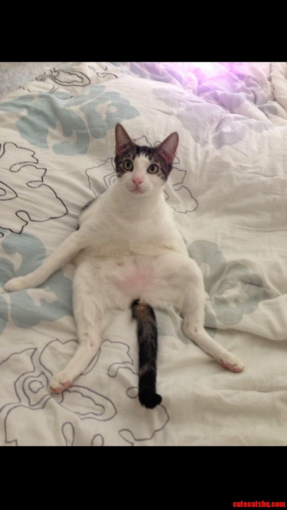 Laid Back Relaxing.