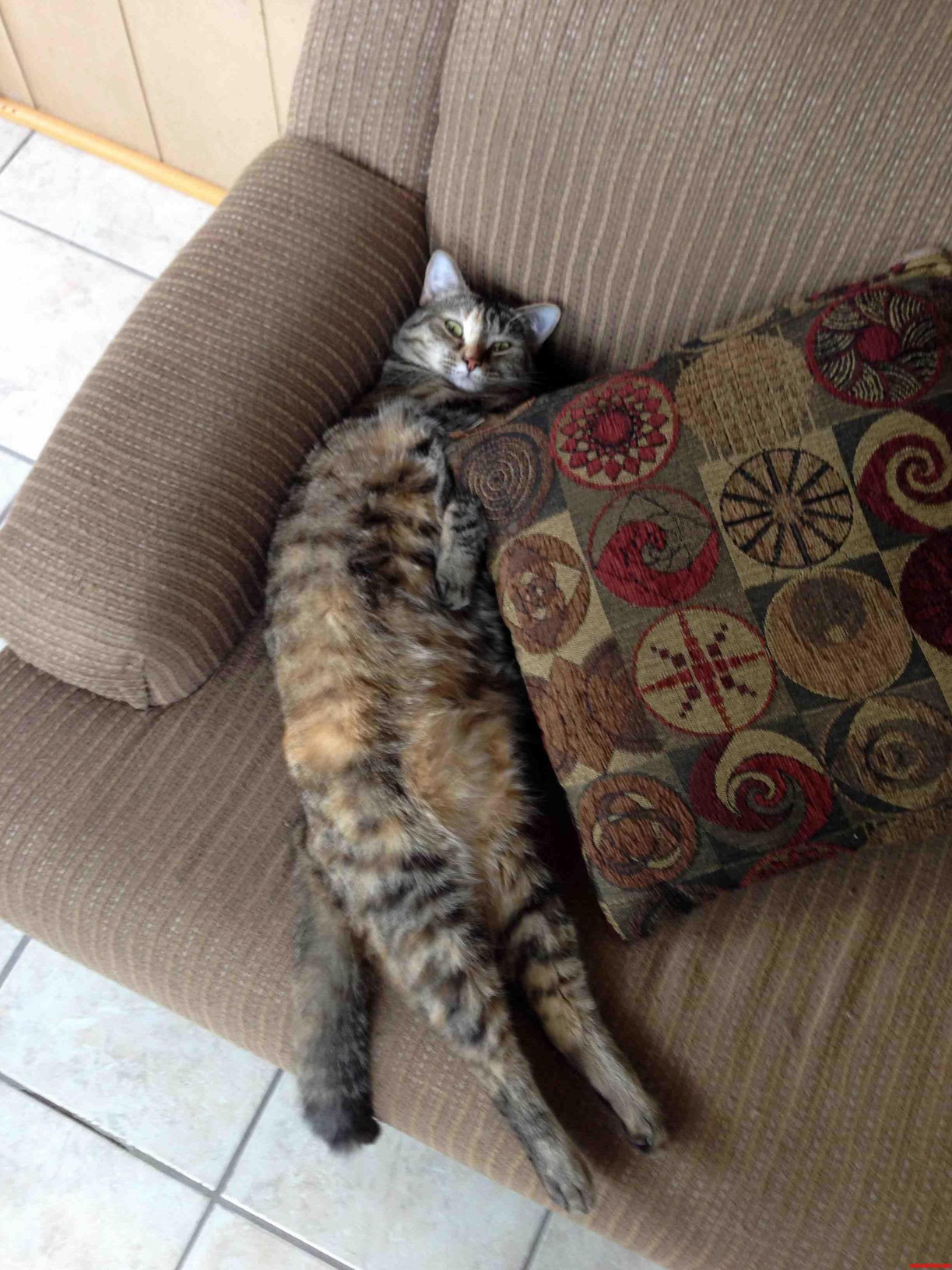 Less Than Enthused About Being Woken Up